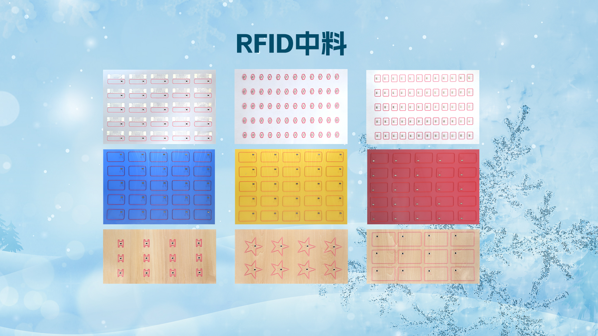 微信圖片_20251120165904_930_127